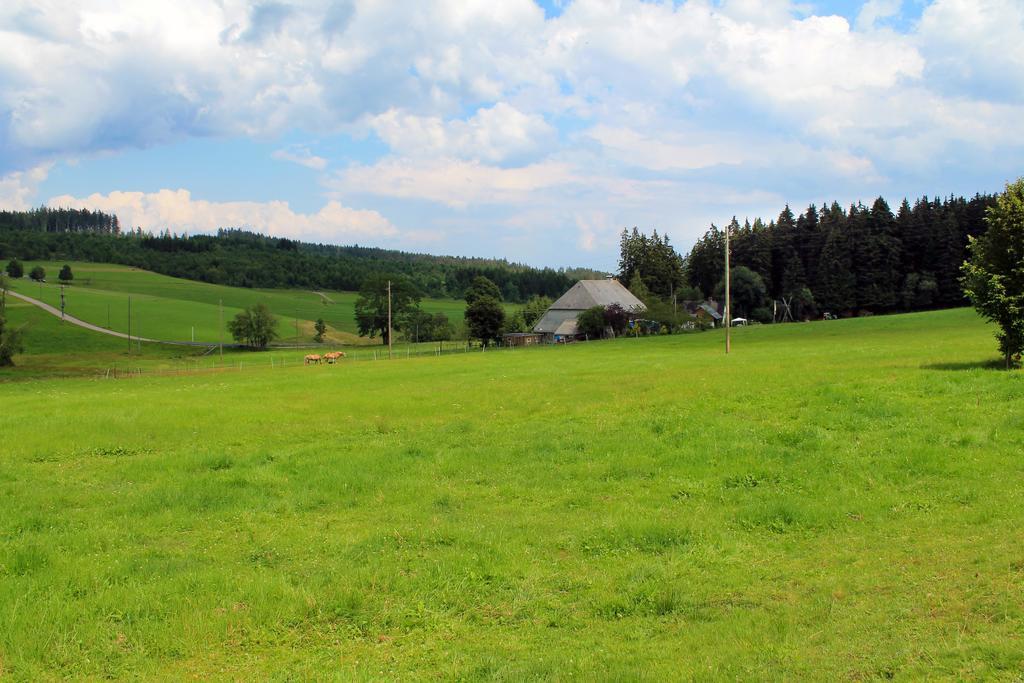 Ferienwohnung Schwarzwaldhof Titisee-Neustadt Kültér fotó
