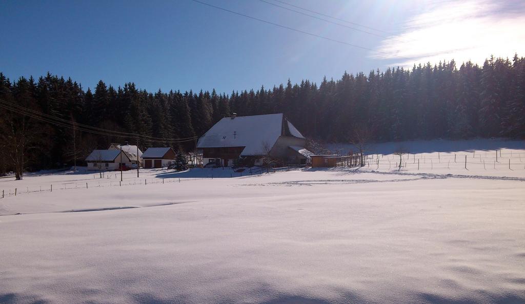 Ferienwohnung Schwarzwaldhof Titisee-Neustadt Kültér fotó