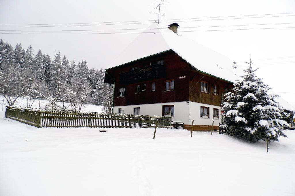 Ferienwohnung Schwarzwaldhof Titisee-Neustadt Kültér fotó