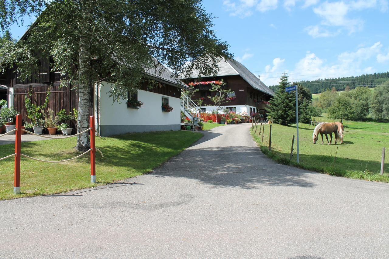 Ferienwohnung Schwarzwaldhof Titisee-Neustadt Kültér fotó